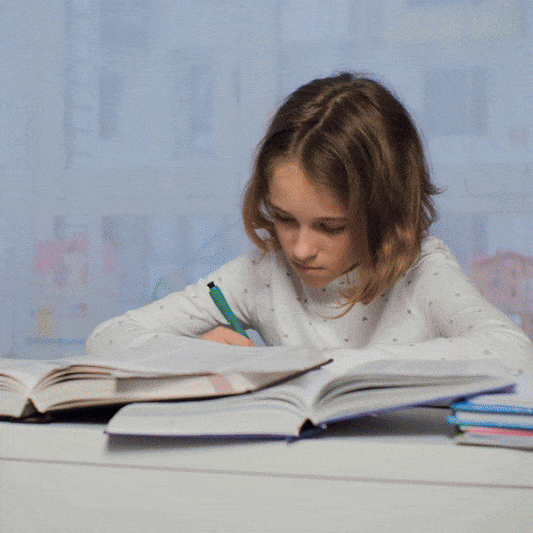 Jucărie Educativă din Lemn
